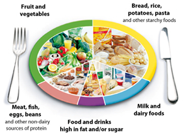 eatwell_plate